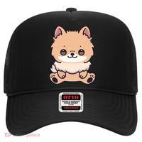 Pomeranian Dog Cute Owner Puppy Hat thumb 0