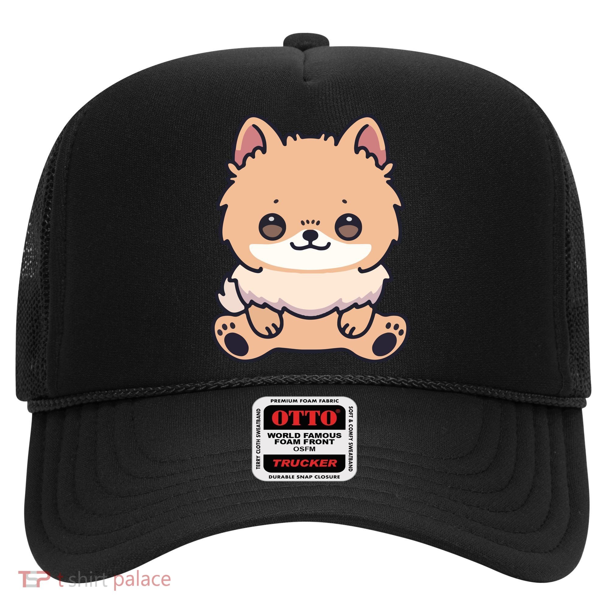 Pomeranian Dog Cute Owner Puppy Hat