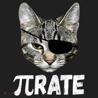 Pi Day Funny Cat Pirate Women's Sweatshirt thumb 2