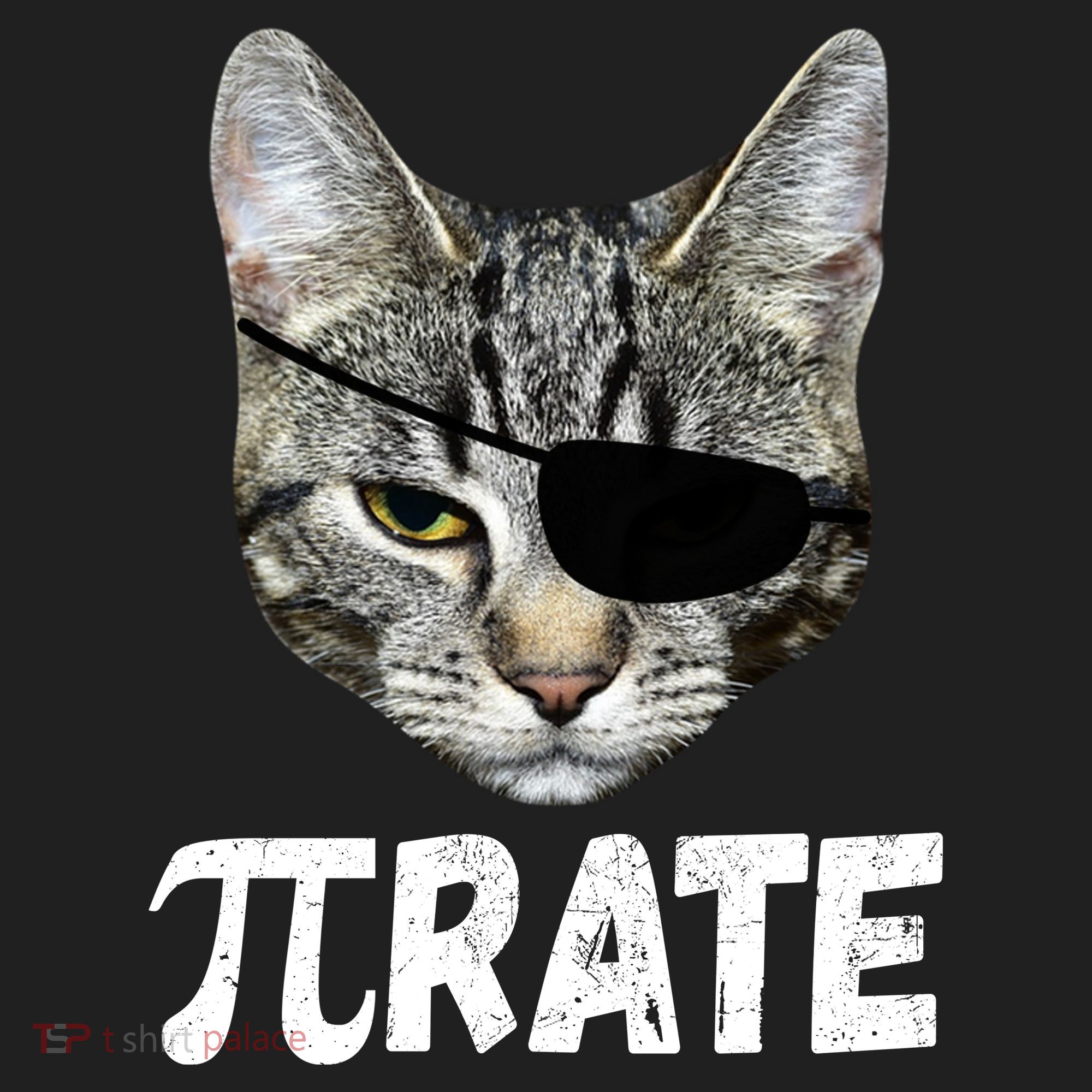Pi Day Funny Cat Pirate Women's Sweatshirt