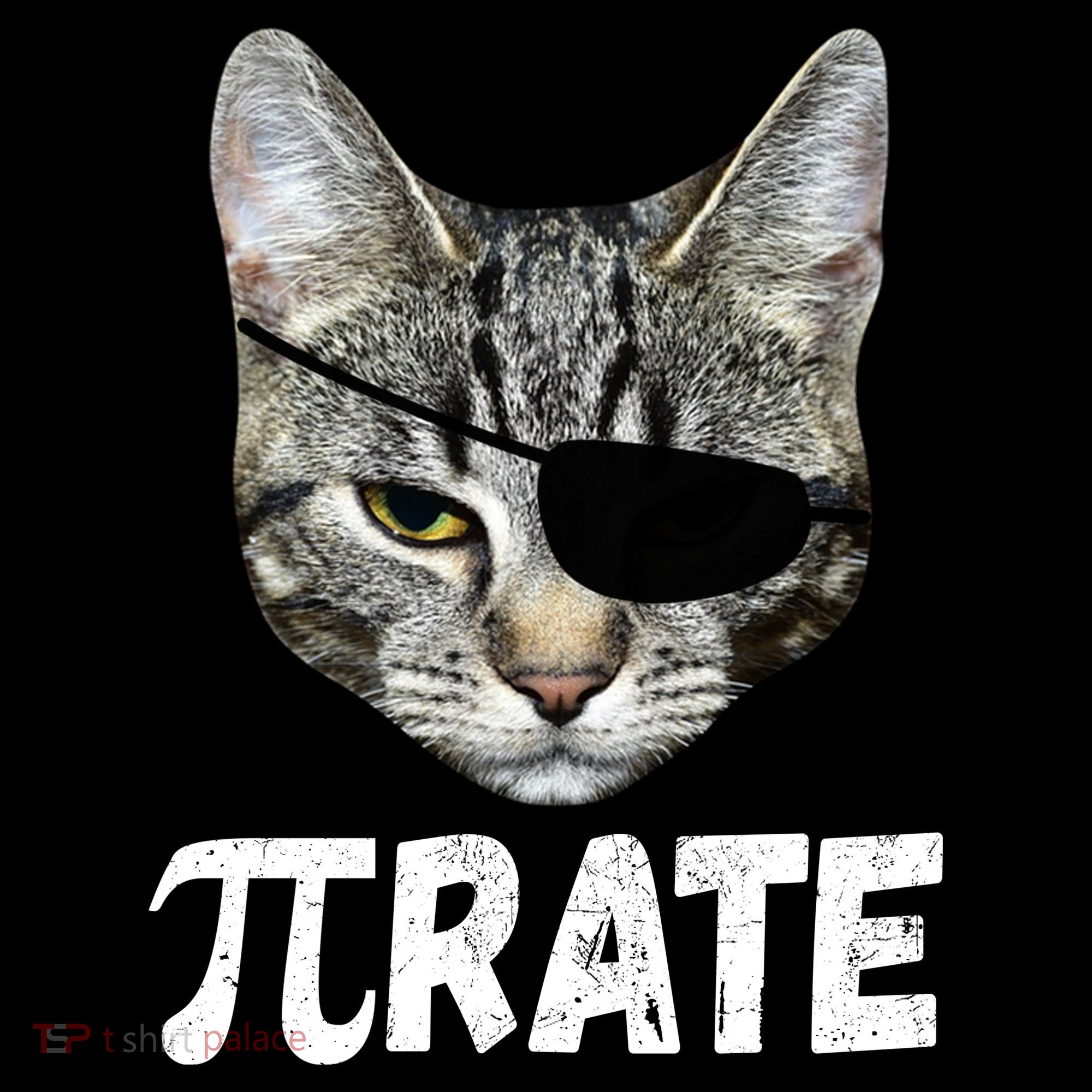 Pi Day Funny Cat Pirate Coaster