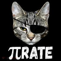 Pi Day Funny Cat Pirate Toddler Hoodie thumb 2