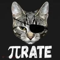 Pi Day Funny Cat Pirate Toddler Hoodie thumb 2