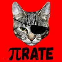Pi Day Funny Cat Pirate Santa Hat thumb 1