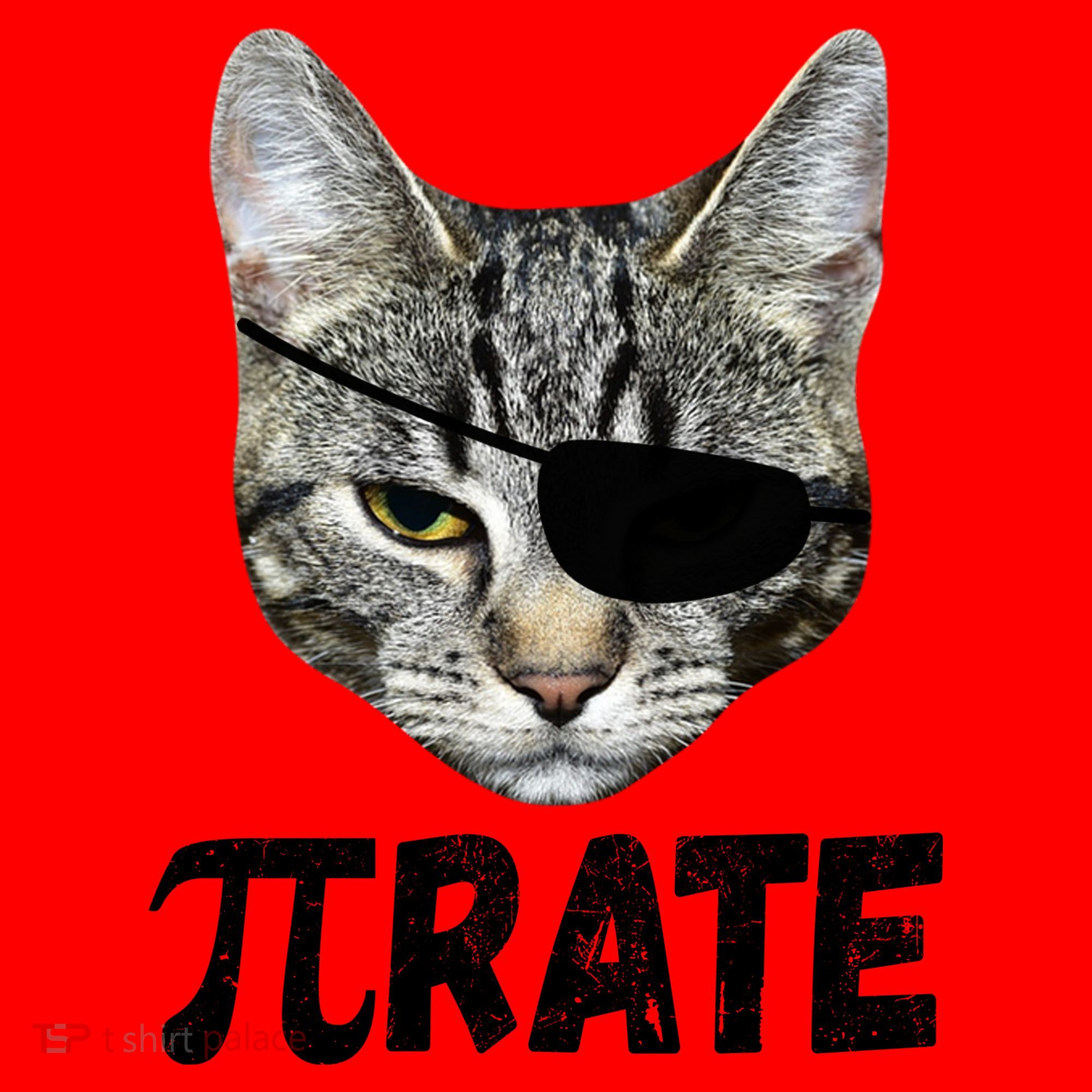 Pi Day Funny Cat Pirate Santa Hat