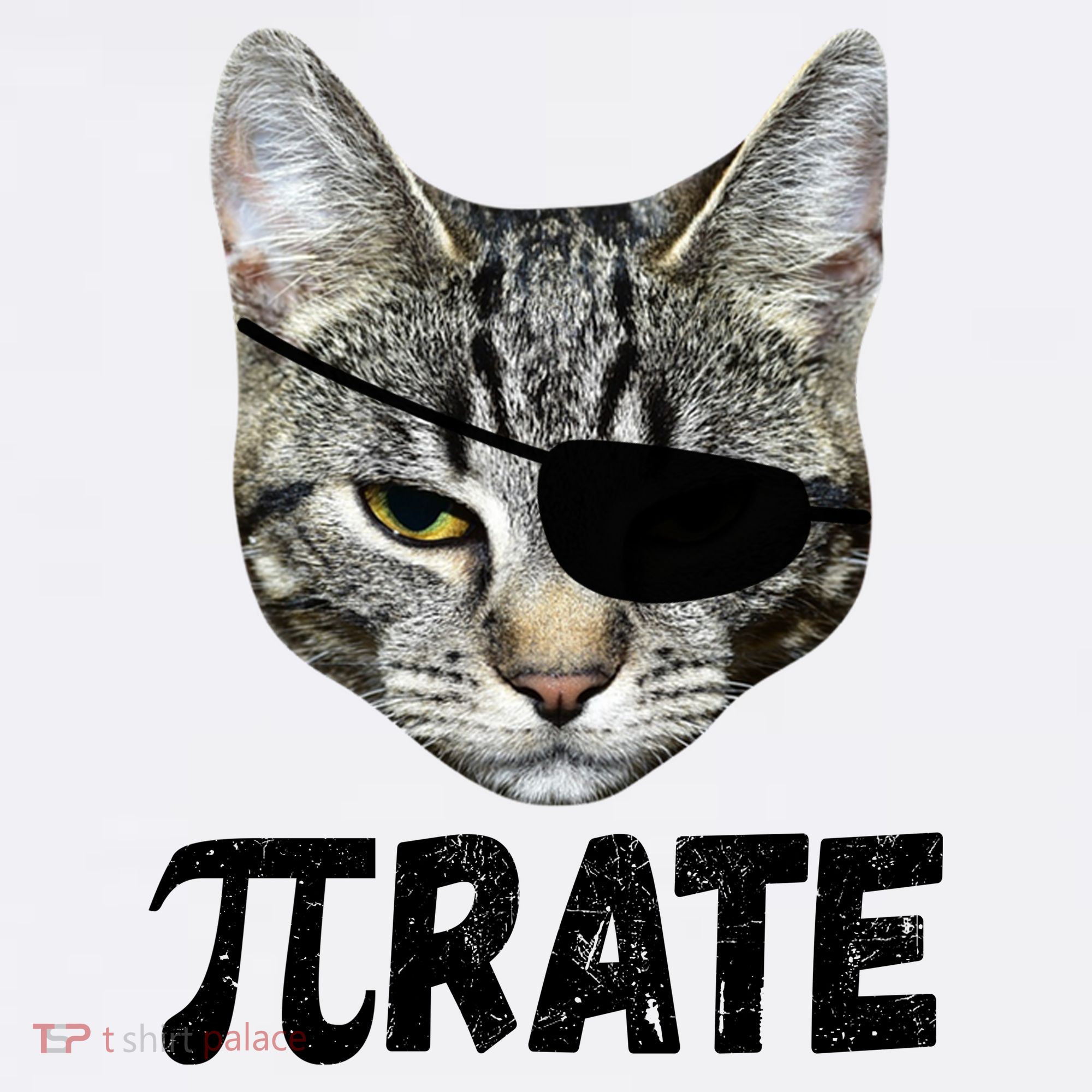 Pi Day Funny Cat Pirate Doggie Tank