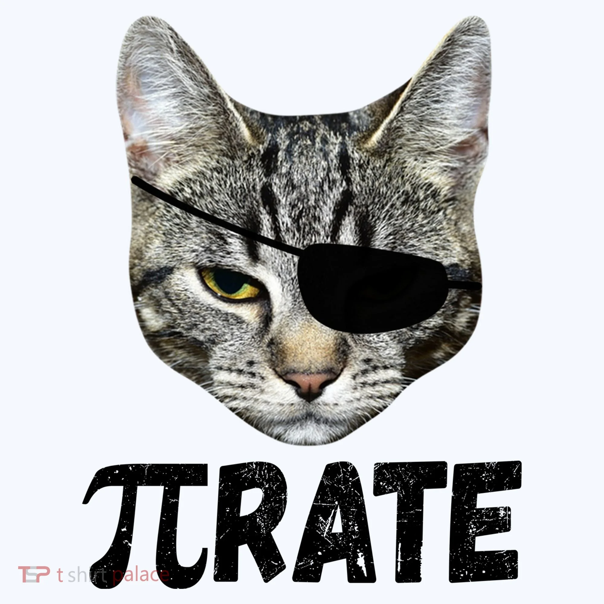 Pi Day Funny Cat Pirate Doggie Tank