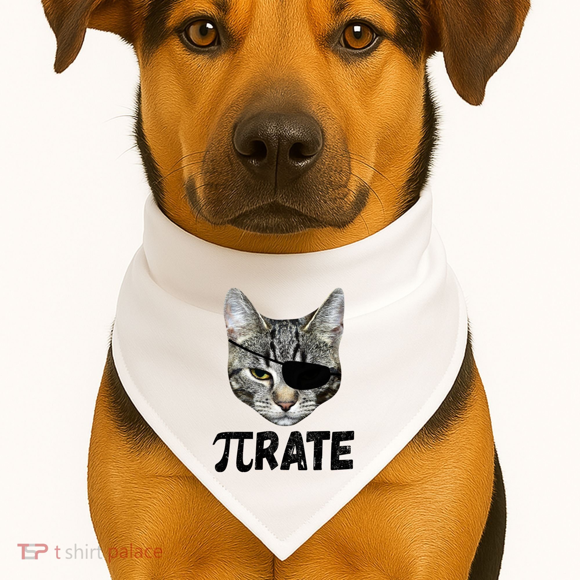 Pi Day Funny Cat Pirate USA-Made Doggie Bandana