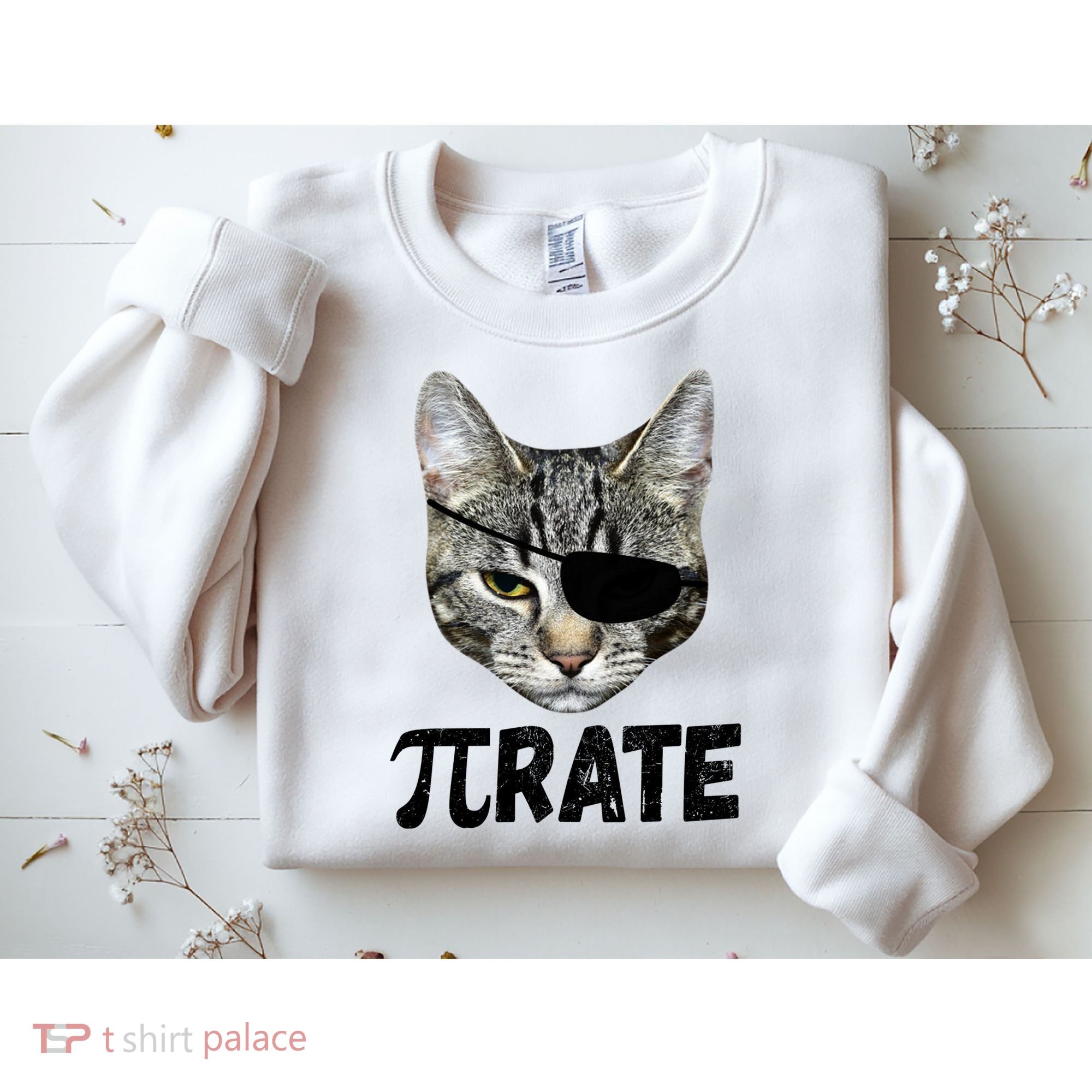 Pi Day Funny Cat Pirate Sweatshirt