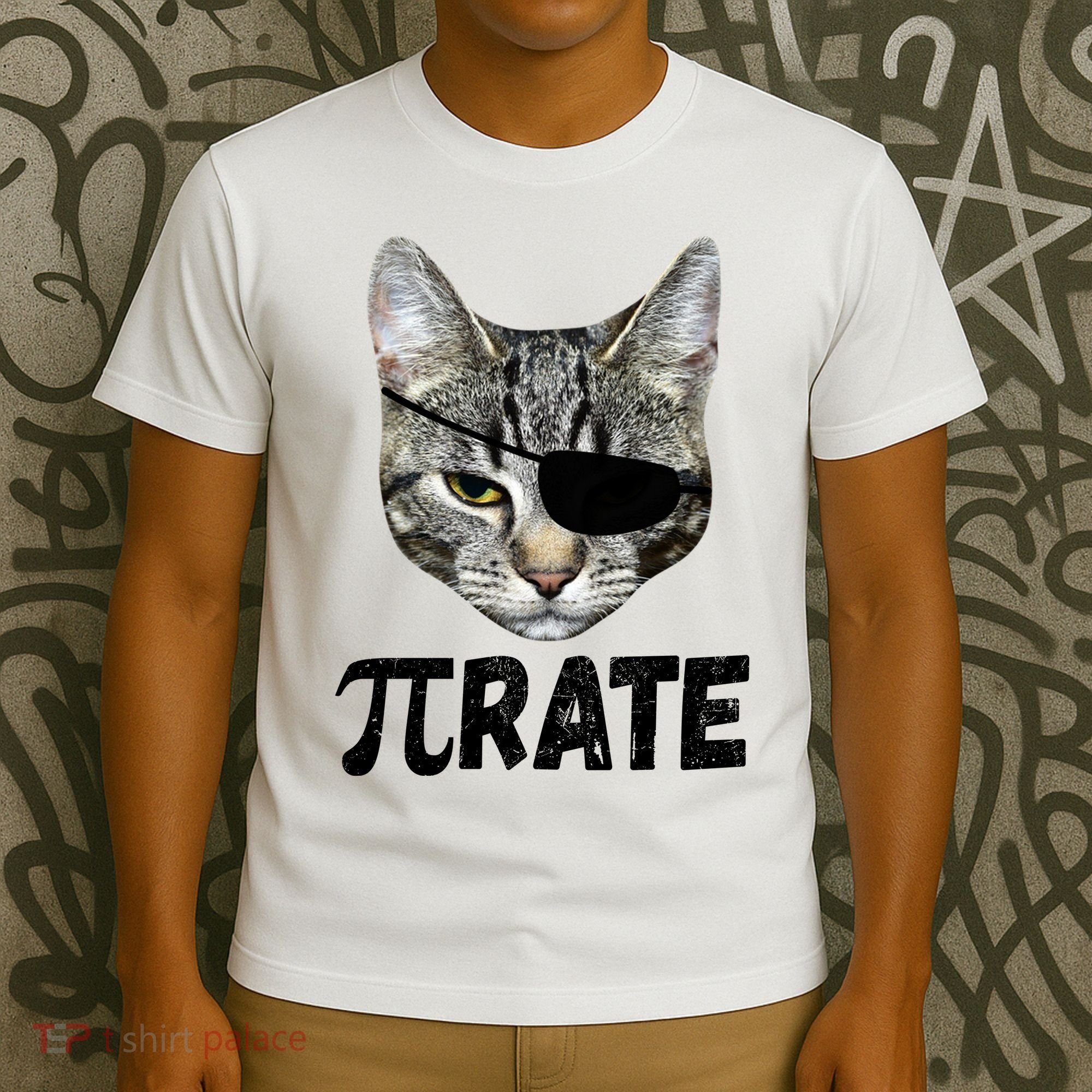 Pi Day Funny Cat Pirate T-Shirt