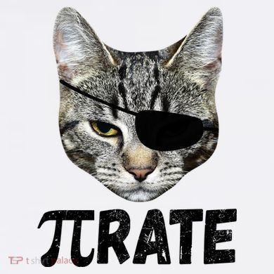 Pi Day Funny Cat Pirate Dry Zone Grid Polo