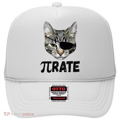 Pi Day Funny Cat Pirate Hat