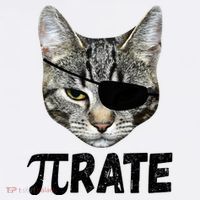 Pi Day Funny Cat Pirate Toddler T-Shirt thumb 4