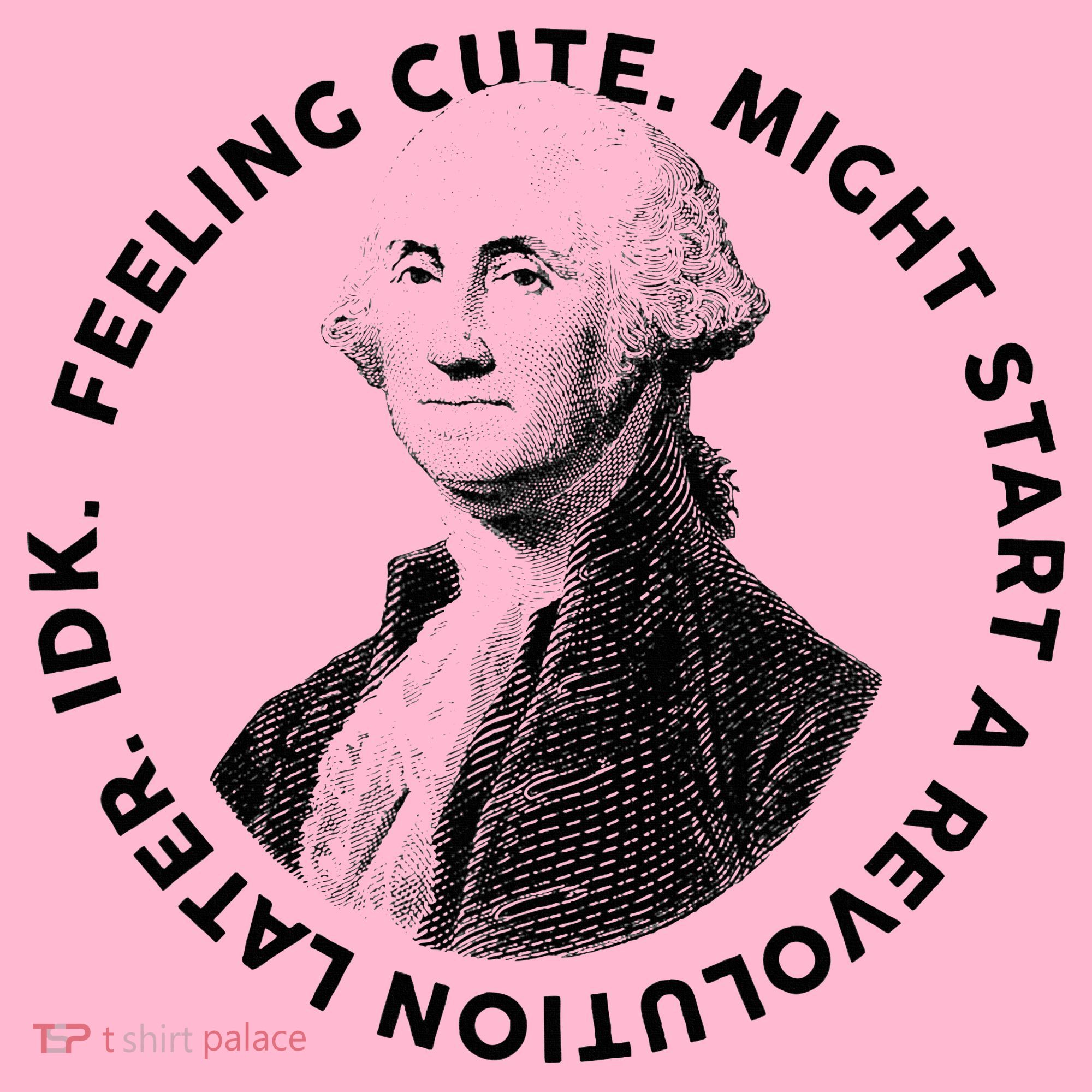 PresidentS Day George Washington Founding Feeling Cute Coaster