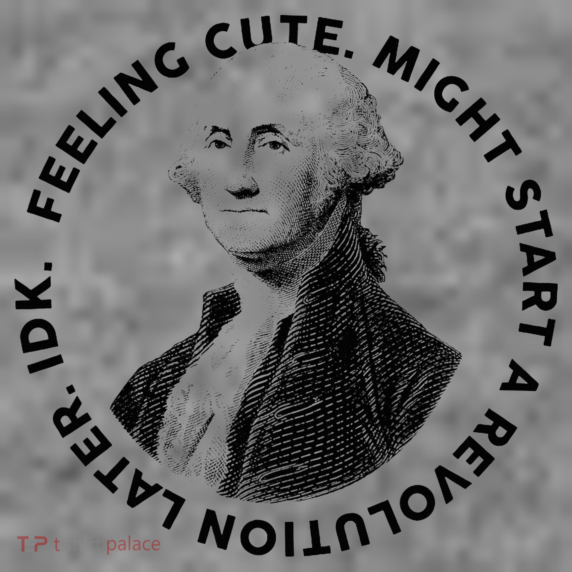 PresidentS Day George Washington Founding Feeling Cute Toddler Hoodie