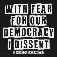 Pro Democracy I Dissent Strong Support Polo thumb 3
