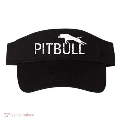 Visor