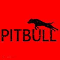 Pitbull Dog Logo Santa Hat thumb 1