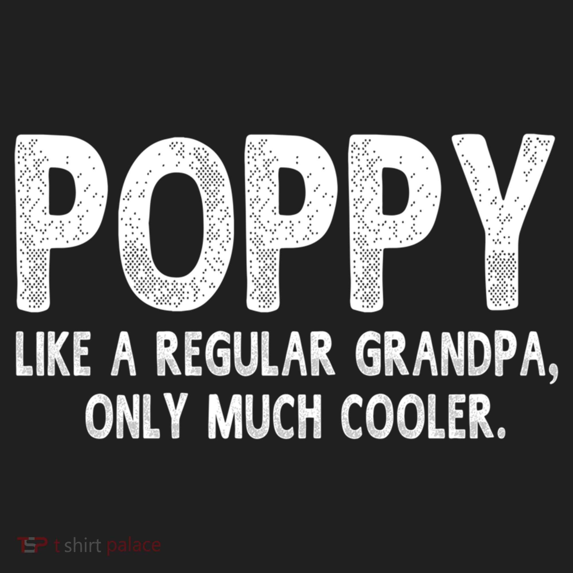 Poppy Definition Like Regular Grandpa Only Cooler Funny Gift Beanie