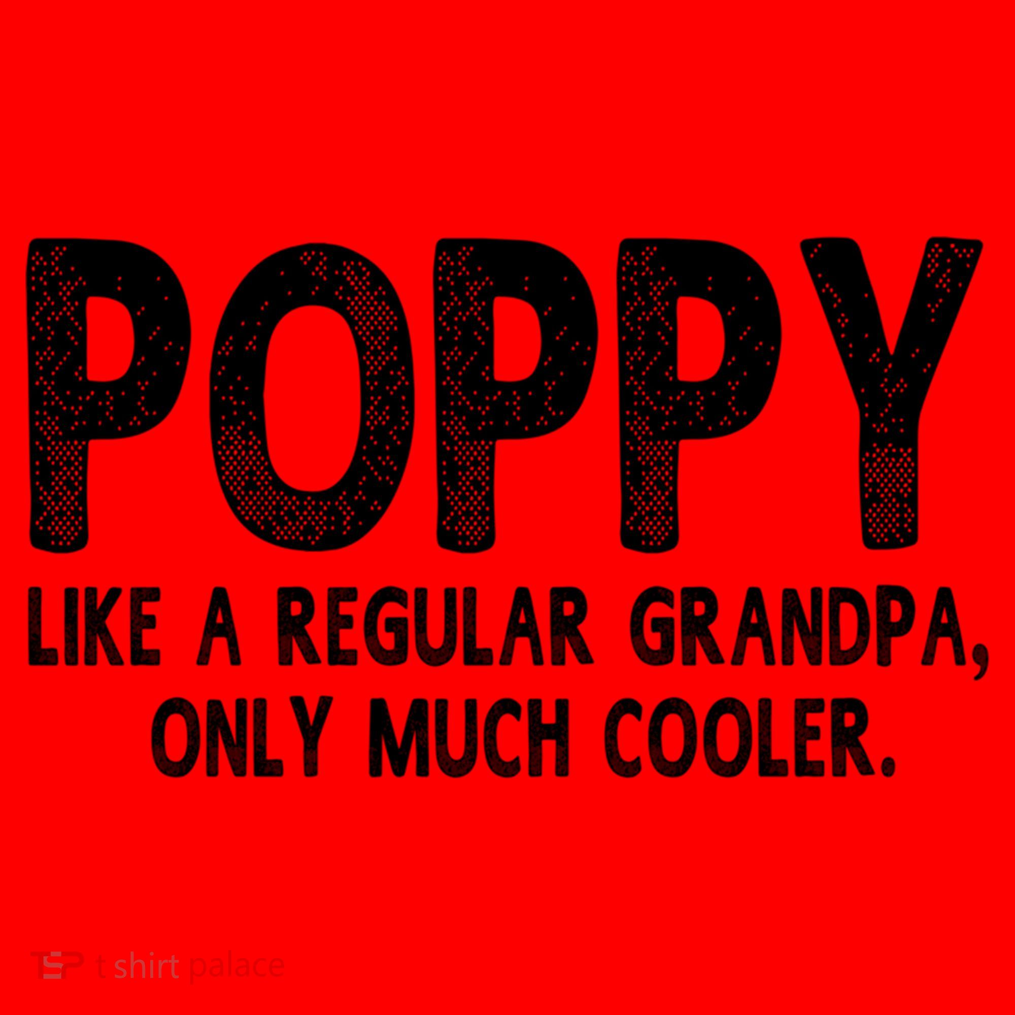 Poppy Definition Like Regular Grandpa Only Cooler Funny Gift Santa Hat