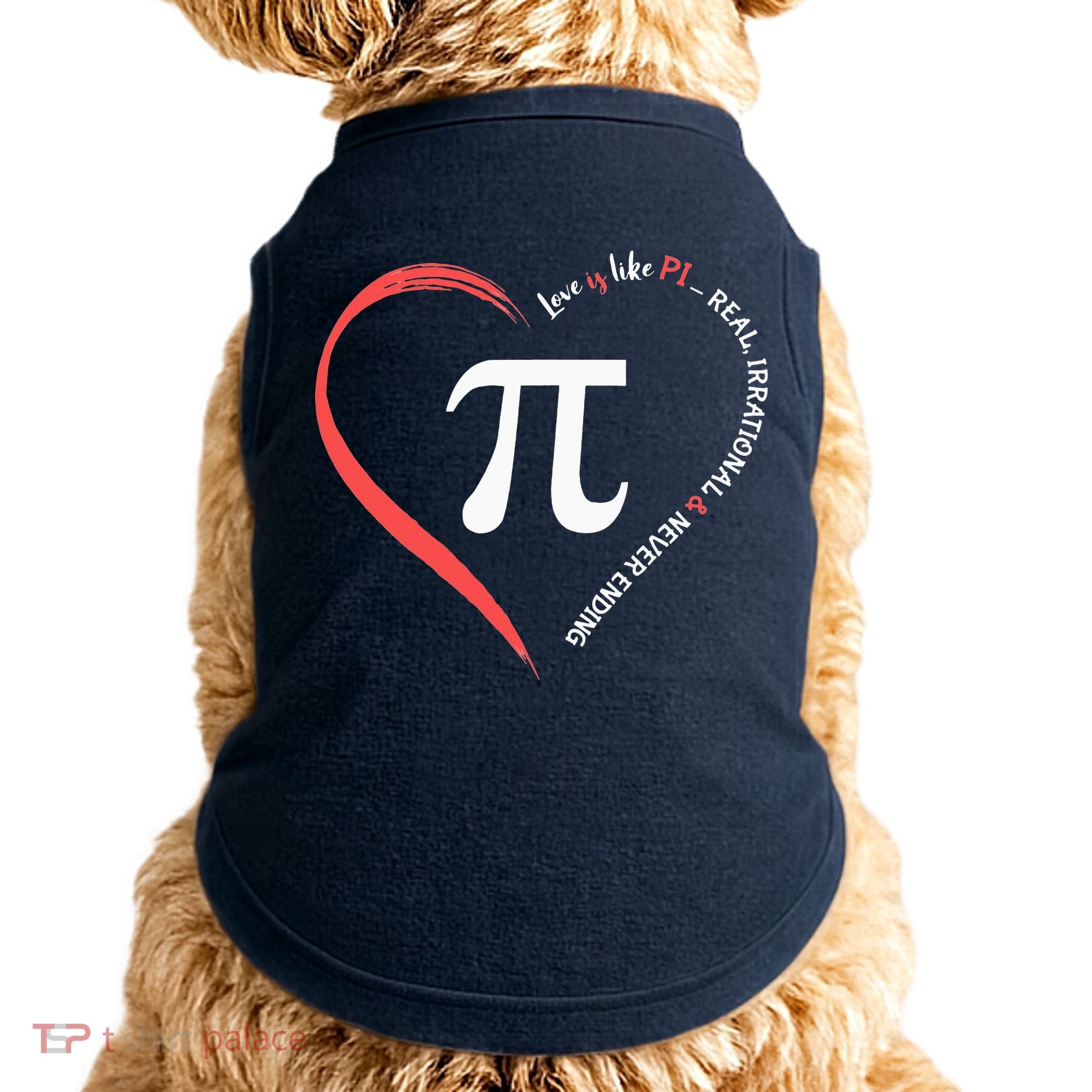 Pi Day Love Is Like Pi Valentines Math Teacher Doggie Tank