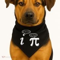 Pi Day Math Teacher Funny USA-Made Doggie Bandana thumb 1