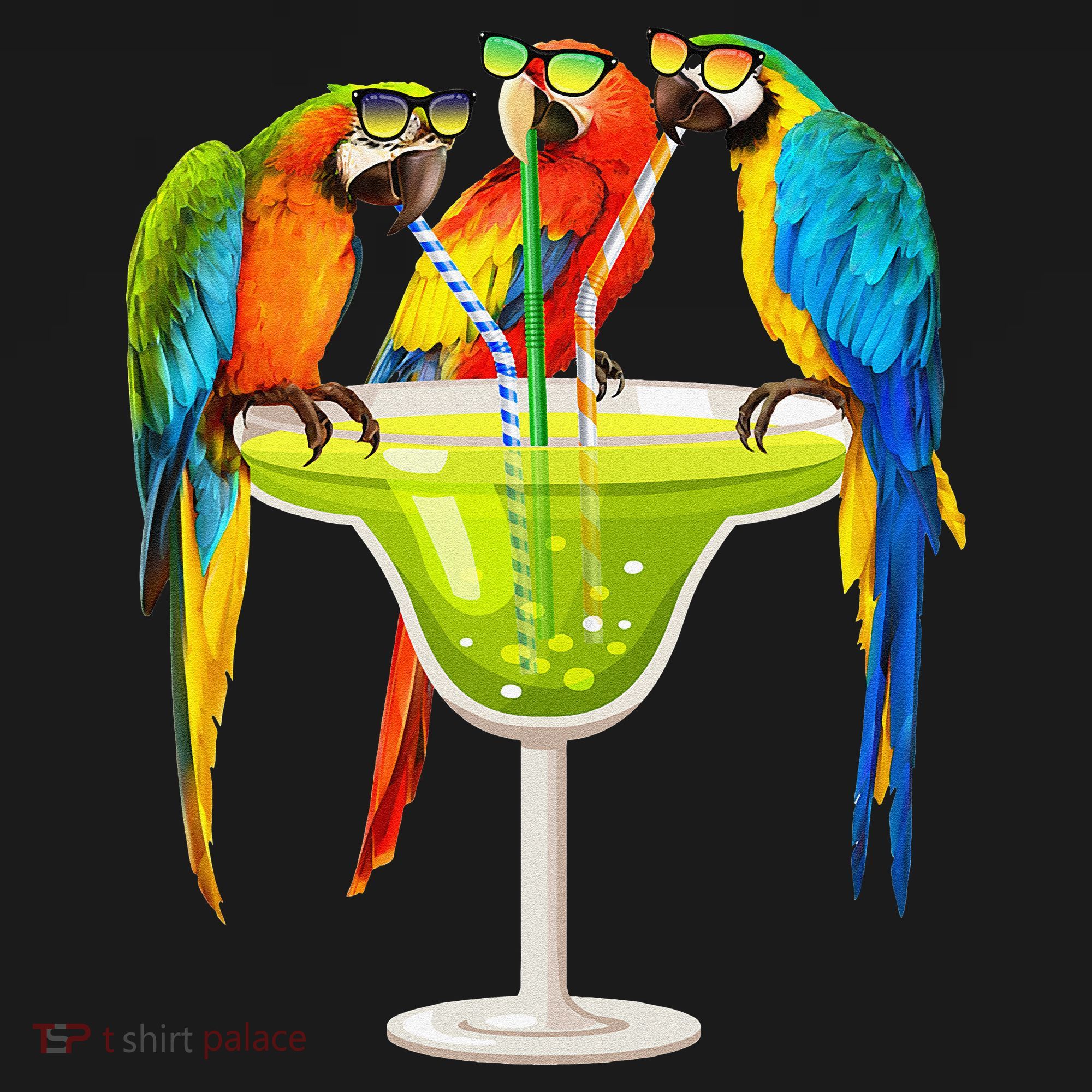 Parrots Drinking Margarita On Summer Vacation Birds Tee Gift Pajama Set