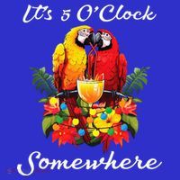 Parrots Drinking Margarita Its 5 Oclock Somewhere Funny T-Shirt thumb 7