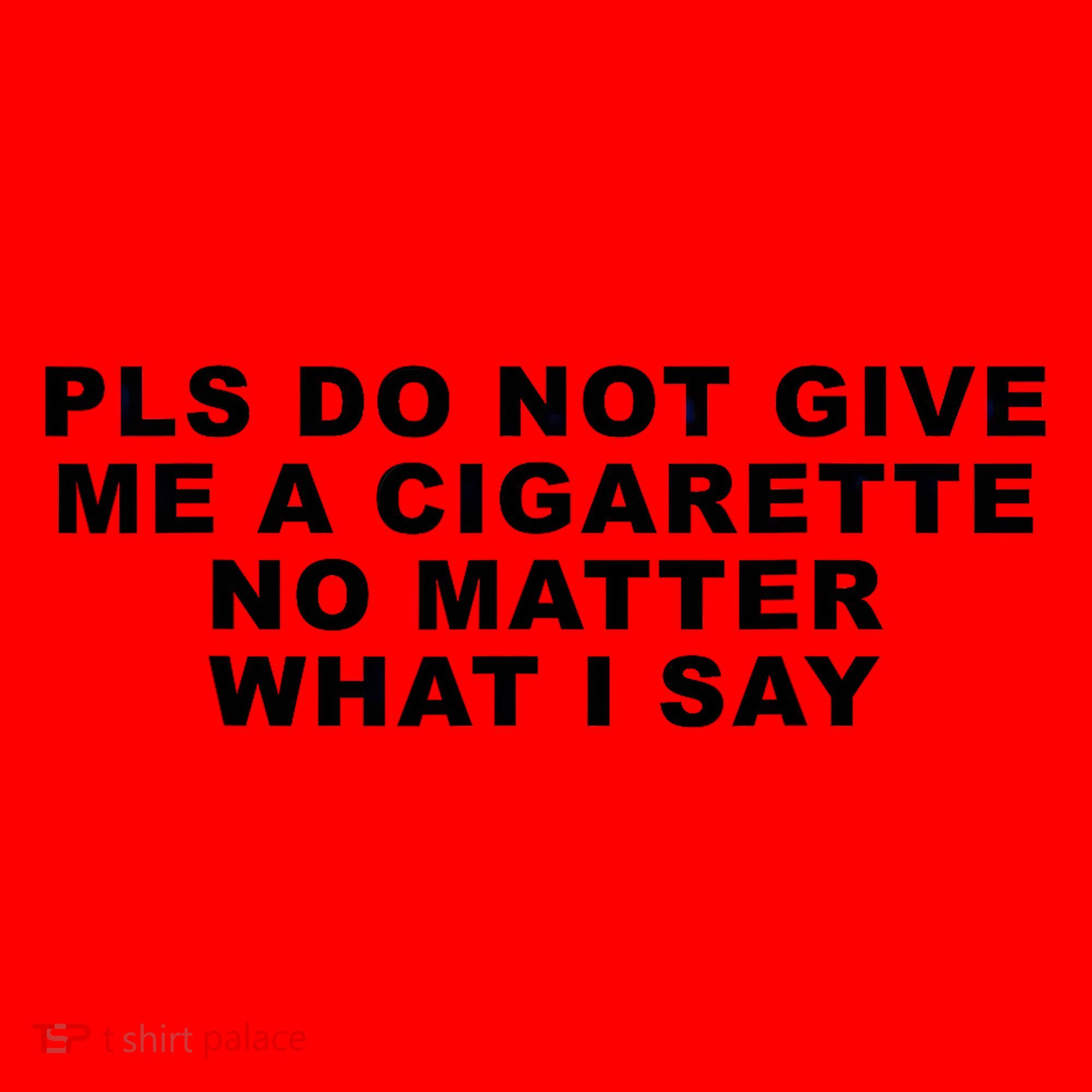 Please Do Not Give Me A Cigarette No Matter What I Say Funny Santa Hat