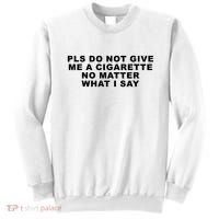 Please Do Not Give Me A Cigarette No Matter What I Say Funny Sweatshirt thumb 0