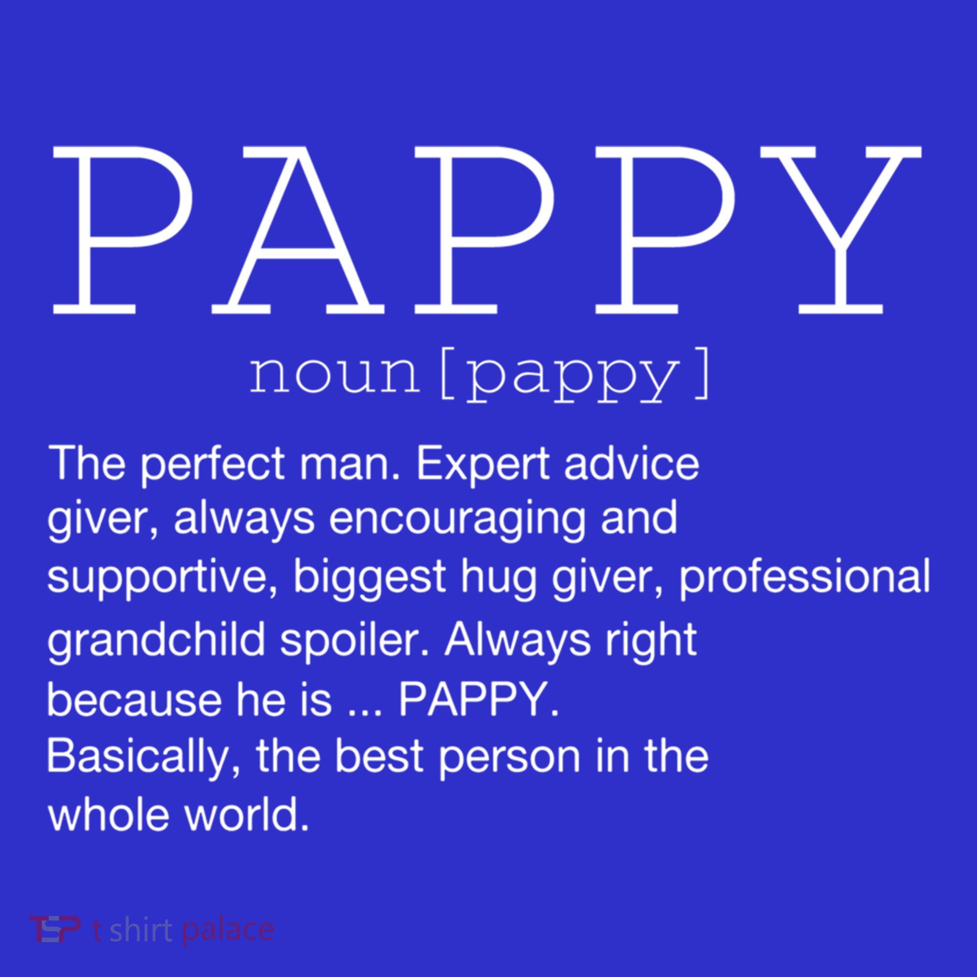 Pappy Definition Noun Grandpa Grandparents Day Funny Cool Gift Long Sleeve Shirt