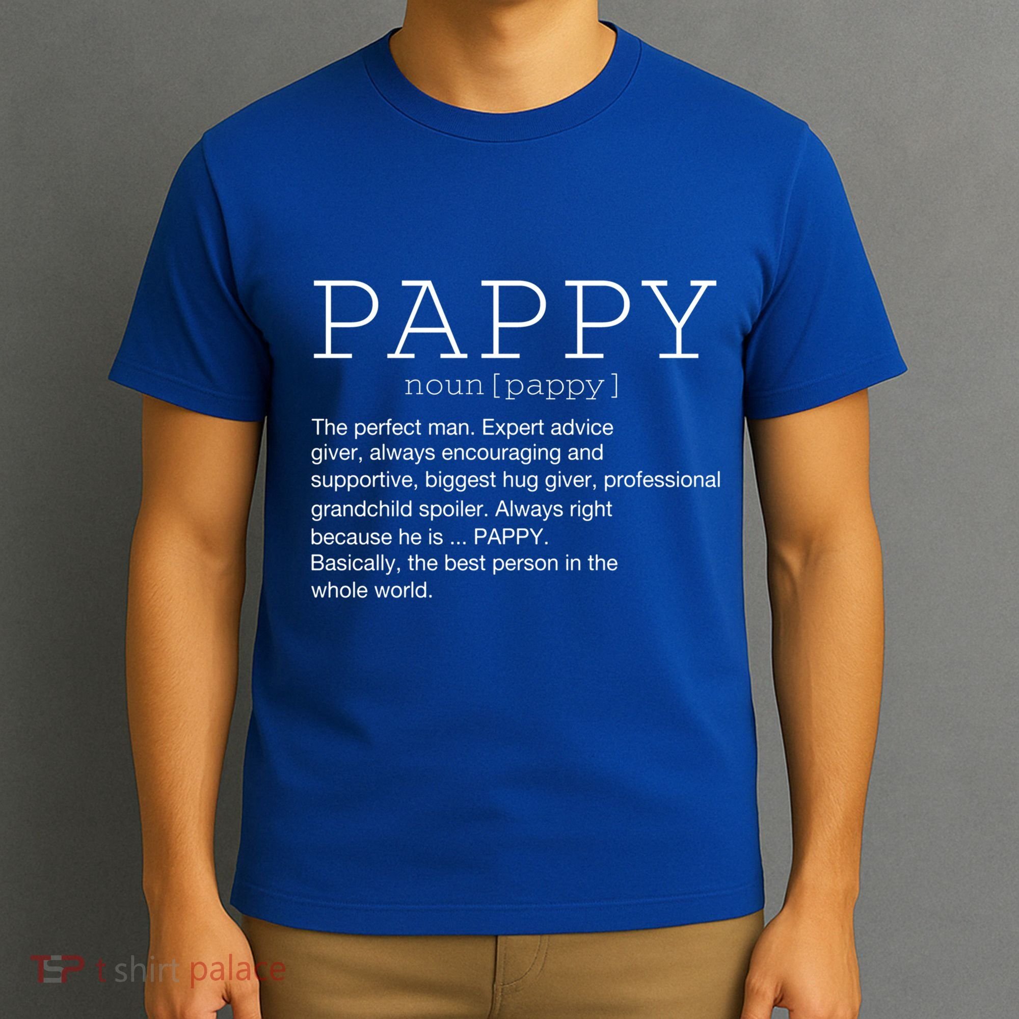 Pappy Definition Noun Grandpa Grandparents Day Funny Cool Gift T-Shirt
