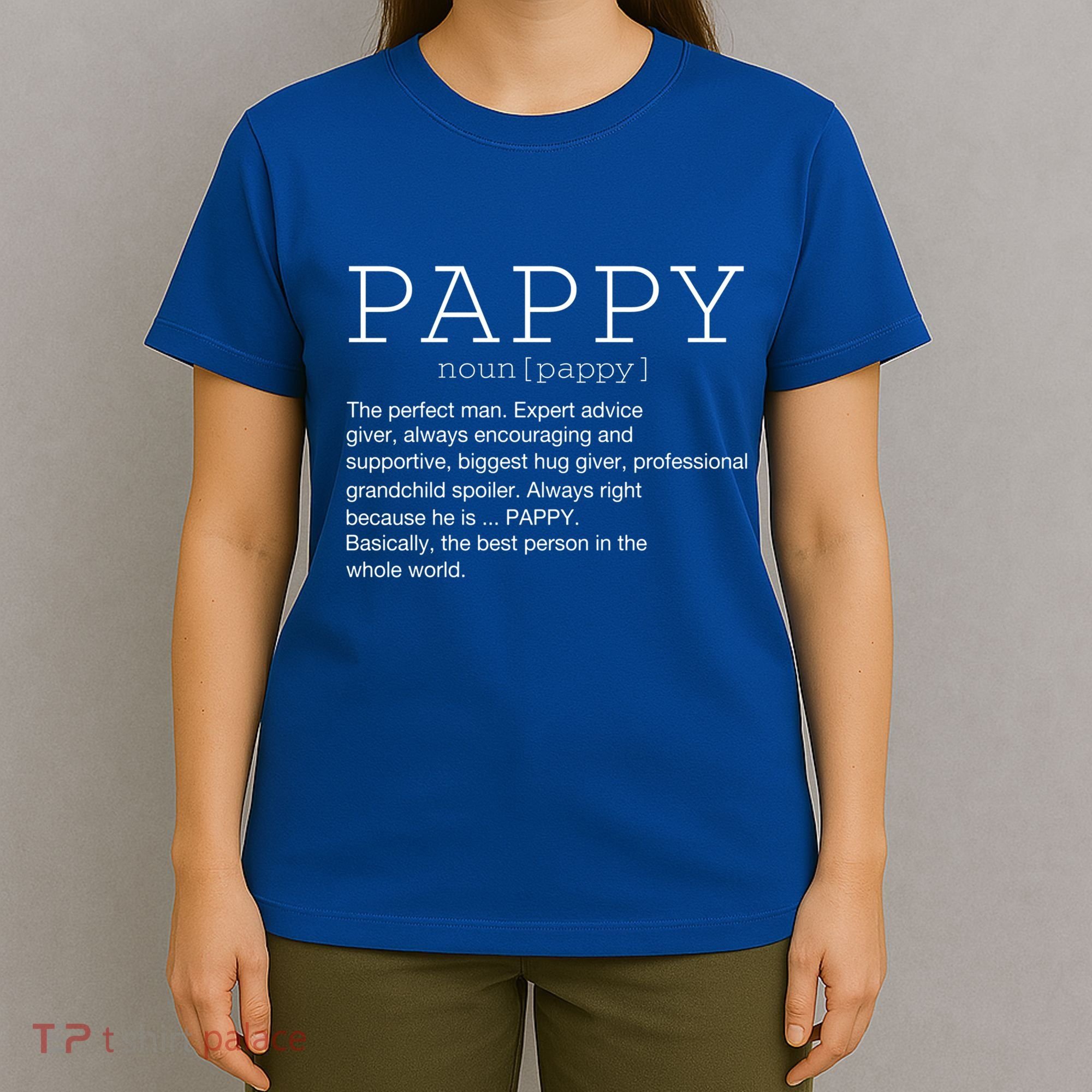 Pappy Definition Noun Grandpa Grandparents Day Funny Cool Gift T-Shirt