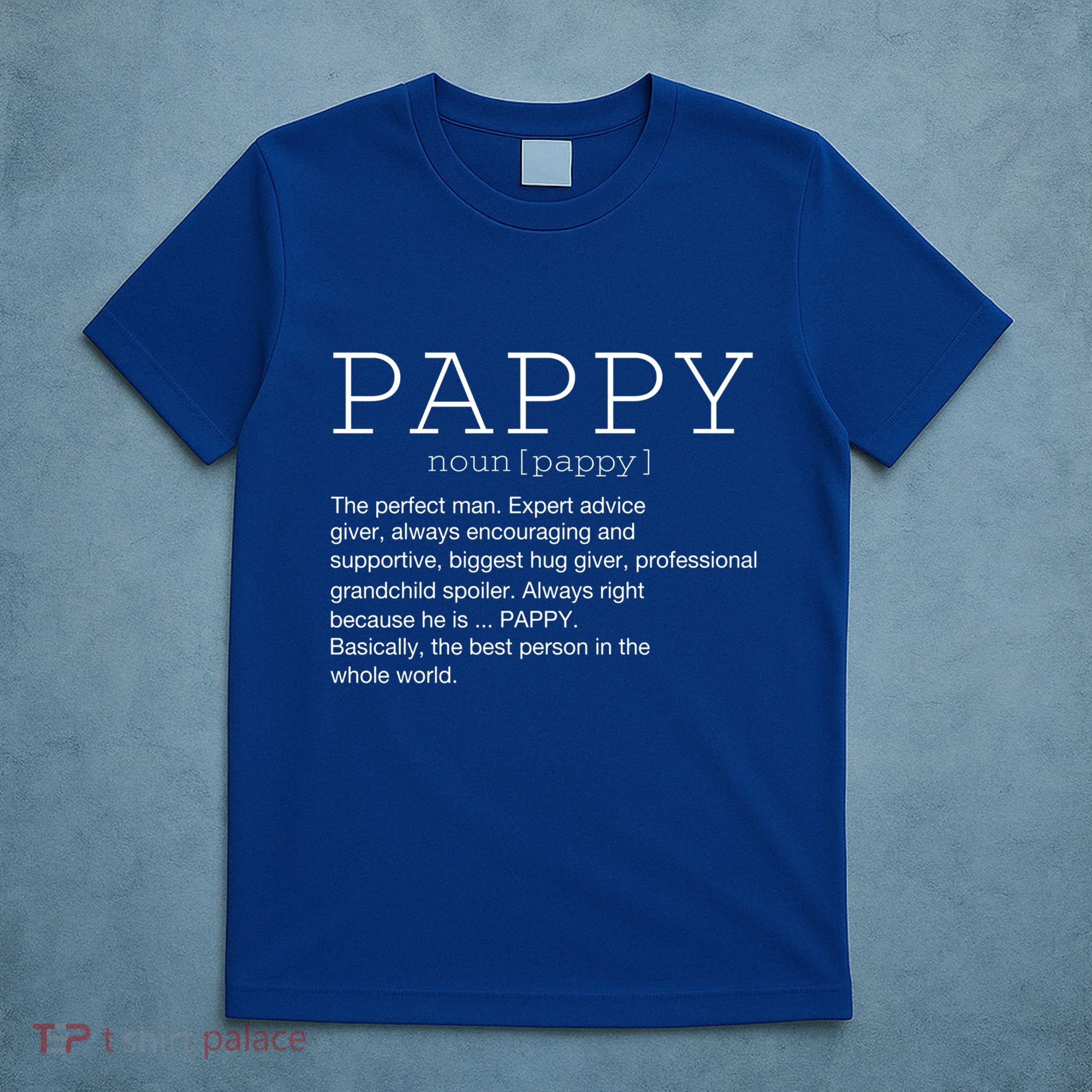 Pappy Definition Noun Grandpa Grandparents Day Funny Cool Gift T-Shirt