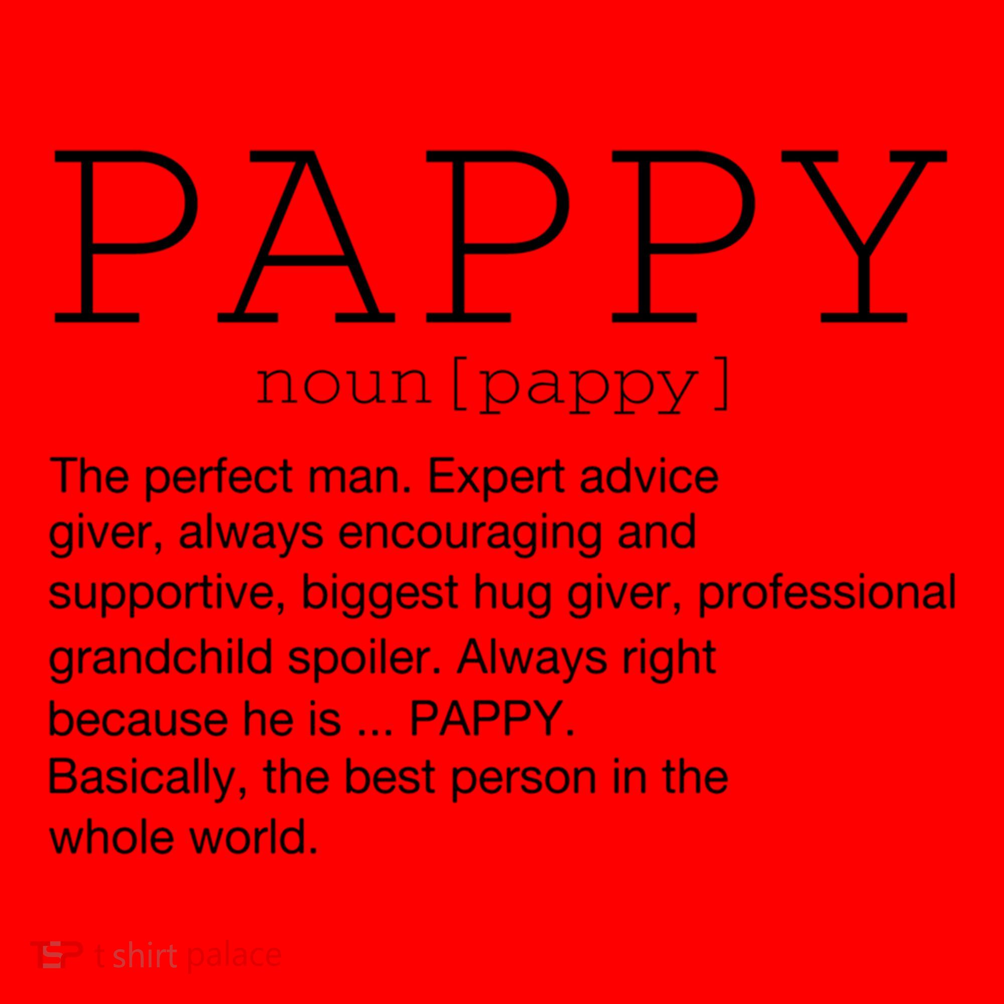 Pappy Definition Noun Grandpa Grandparents Day Funny Cool Gift Santa Hat