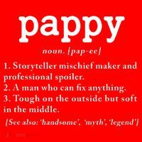 Pappy Definition Papa Grandpa Fathers Day Present Santa Hat thumb 1