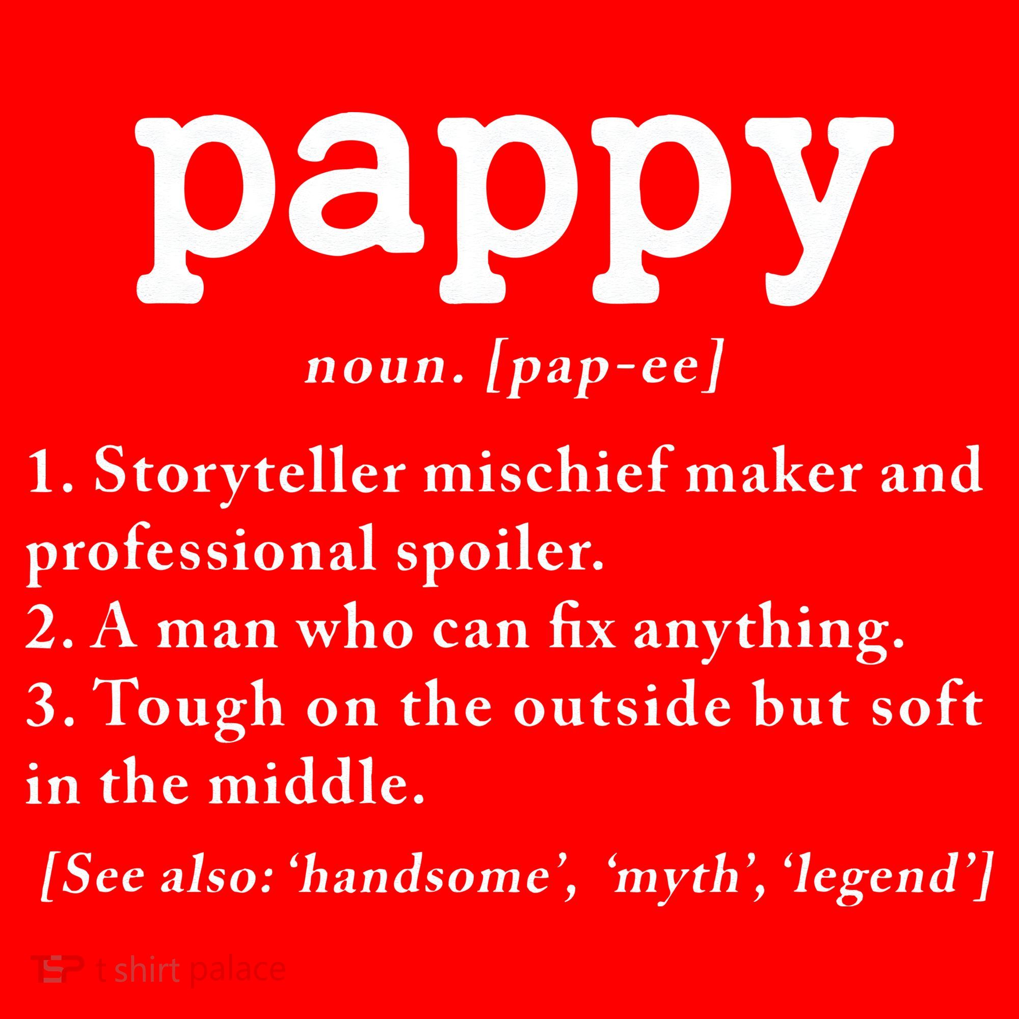 Pappy Definition Papa Grandpa Fathers Day Present Santa Hat
