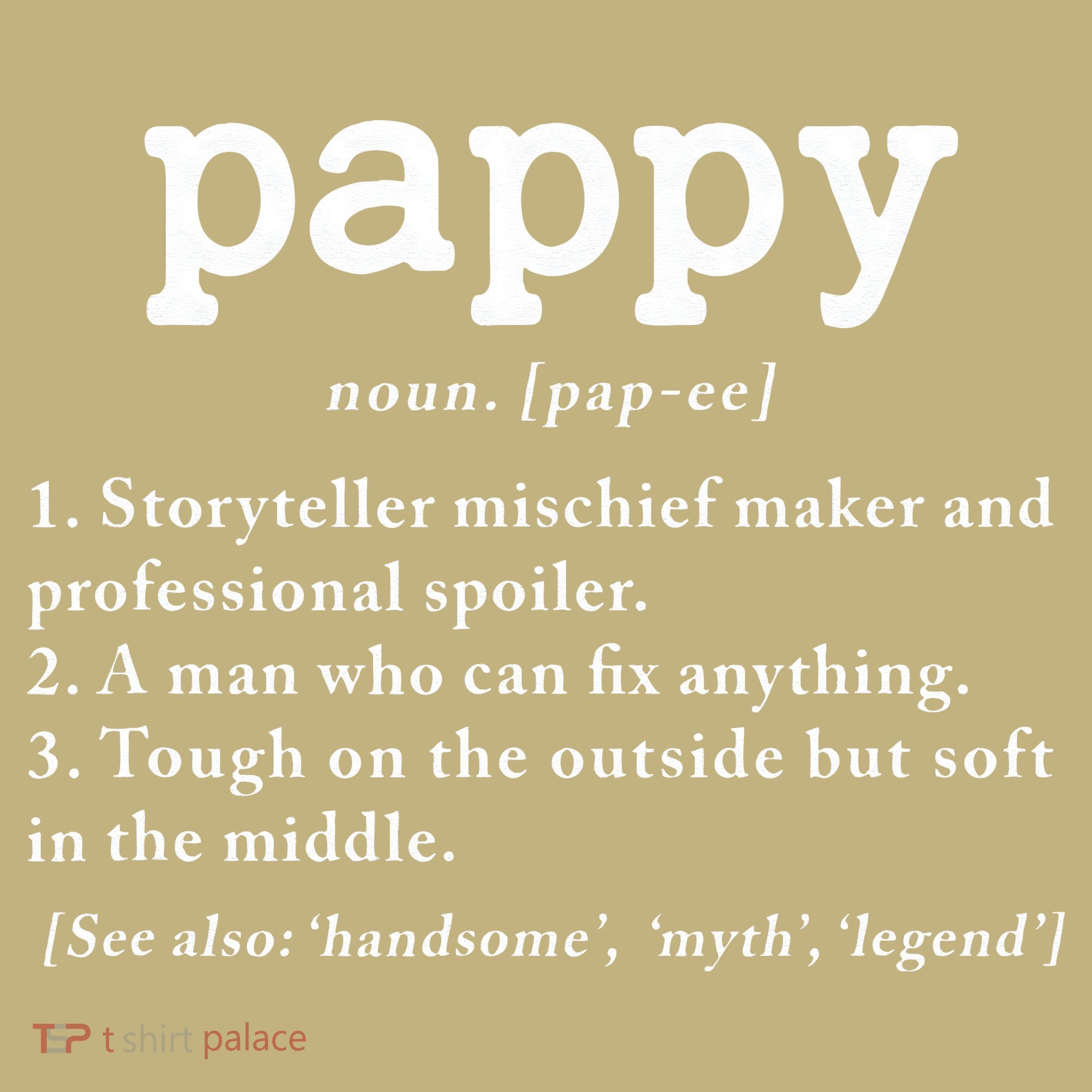 Pappy Definition Papa Grandpa Fathers Day Present Long Sleeve Shirt