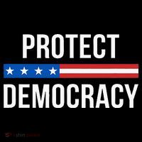Protect Democracy Long Sleeve Shirt thumb 2