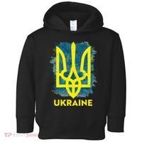 Painted Distressed Pattern Ukraine Coat Of Arms Flag Toddler Hoodie thumb 0