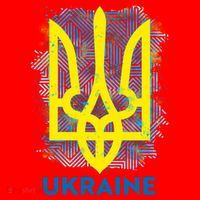 Painted Distressed Pattern Ukraine Coat Of Arms Flag Santa Hat thumb 1