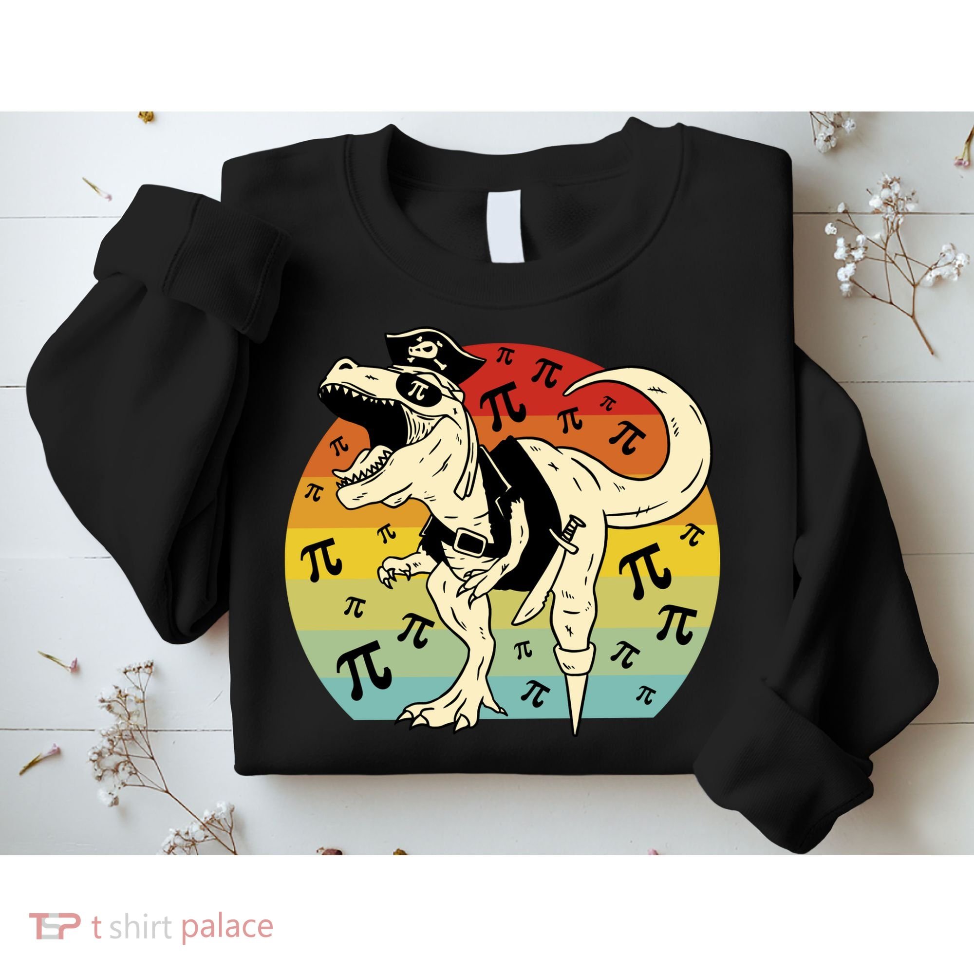 Pirate Dinosaur Retro Sunset Pi 3.14159 Sweatshirt