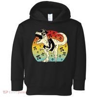 Pirate Dinosaur Retro Sunset Pi 3.14159 Toddler Hoodie thumb 0