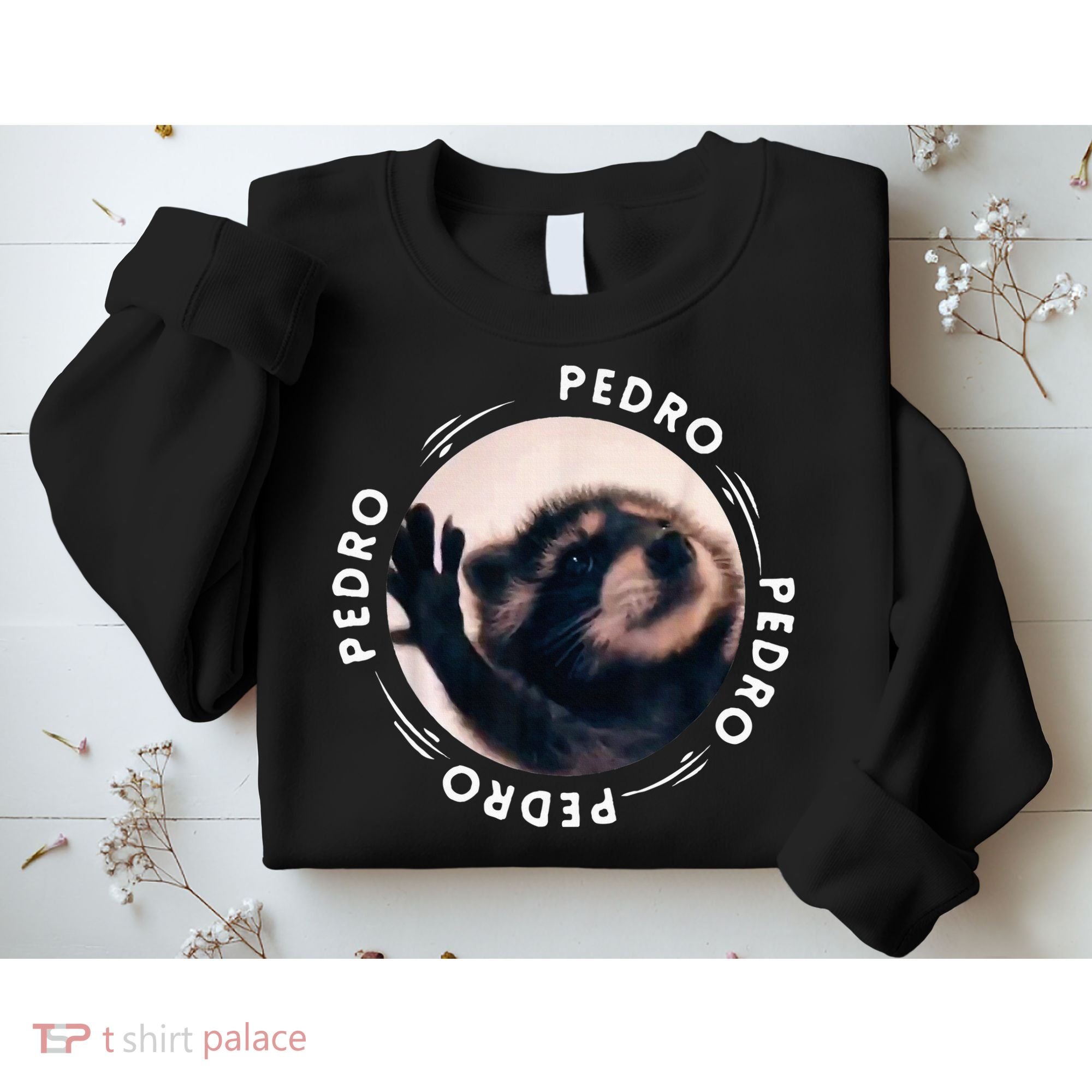 Pedro Dancing Raccoon Pedro Pedro Dancing Raccoon Sweatshirt