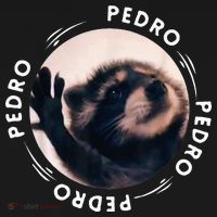 Pedro Dancing Raccoon Pedro Pedro Dancing Raccoon Women's Hoodie thumb 2