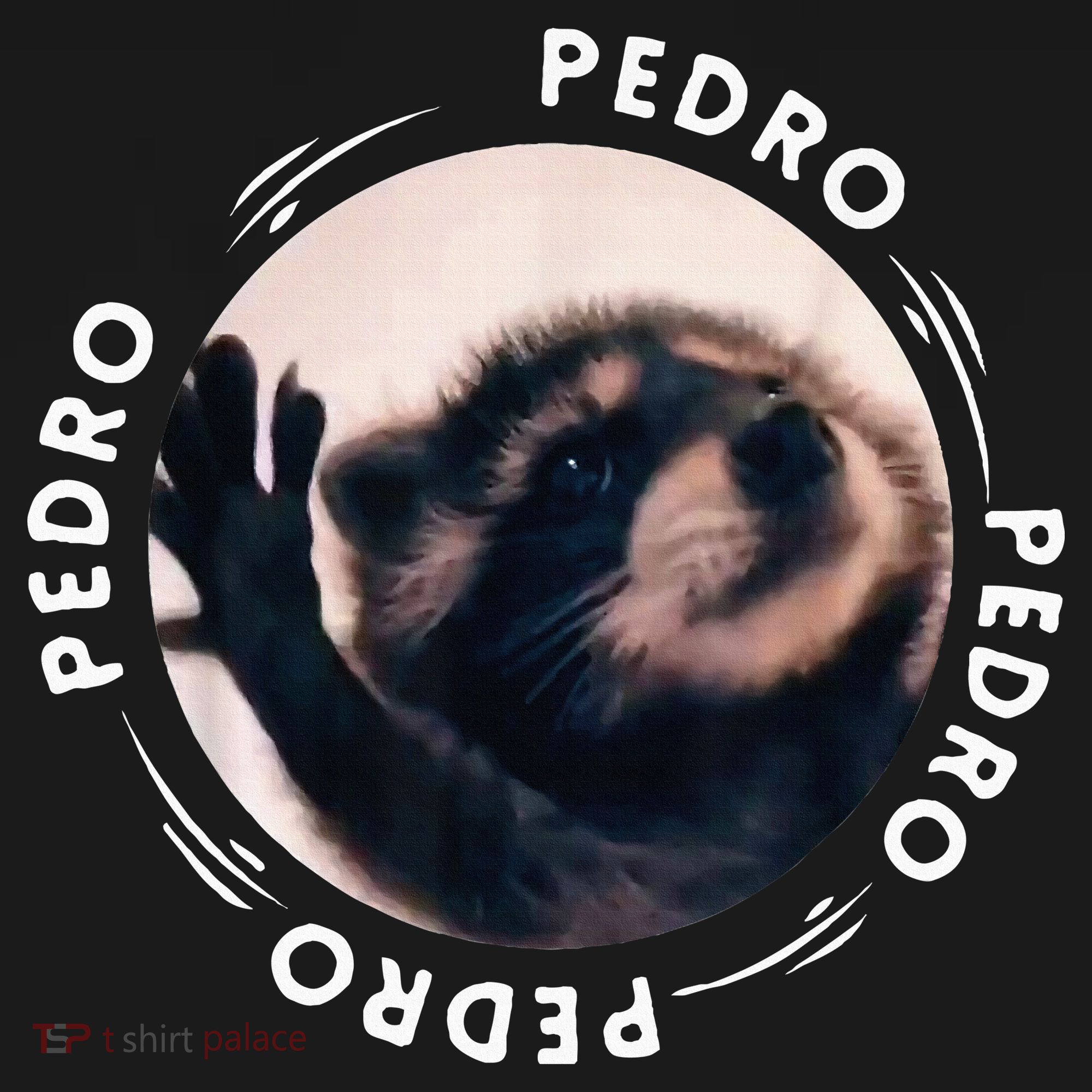 Pedro Dancing Raccoon Pedro Pedro Dancing Raccoon Women's Hoodie