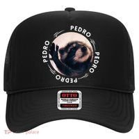 Pedro Dancing Raccoon Pedro Pedro Dancing Raccoon Hat thumb 0