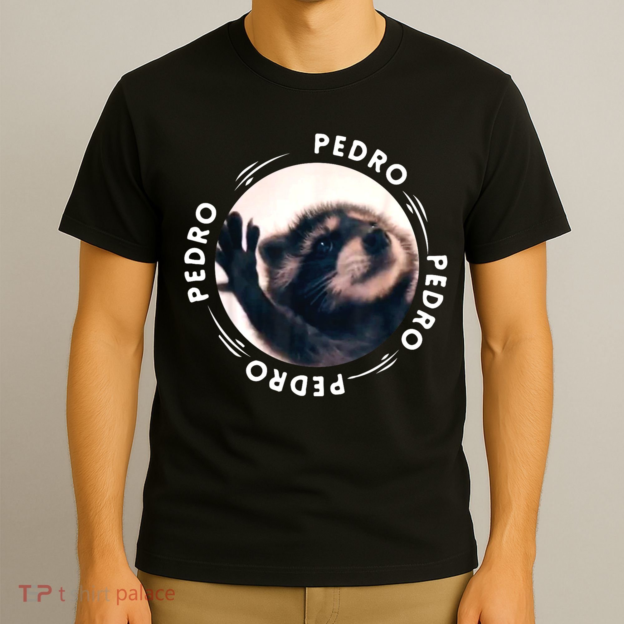 Pedro Dancing Raccoon Pedro Pedro Dancing Raccoon Meme T-Shirt