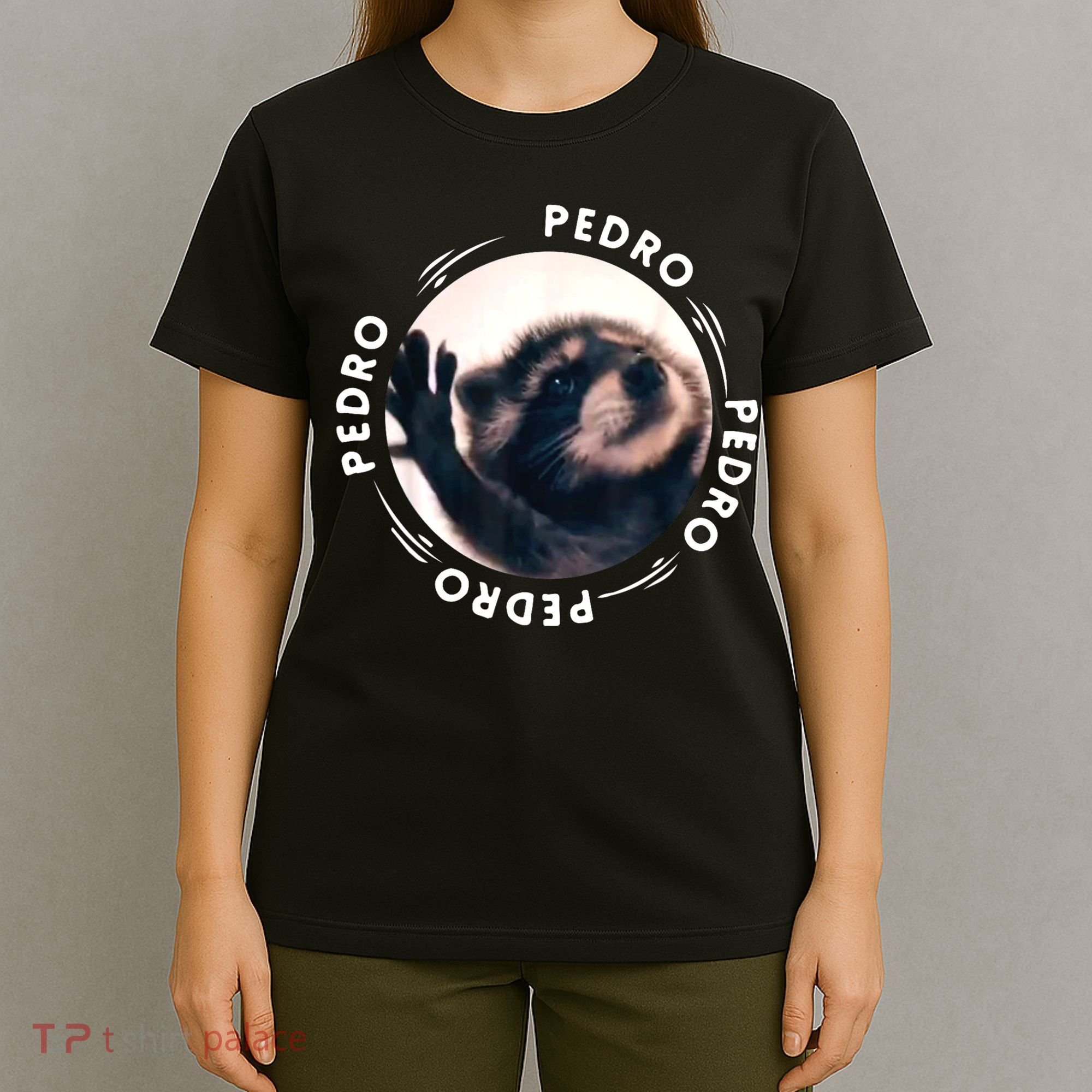 Pedro Dancing Raccoon Pedro Pedro Dancing Raccoon Meme T-Shirt
