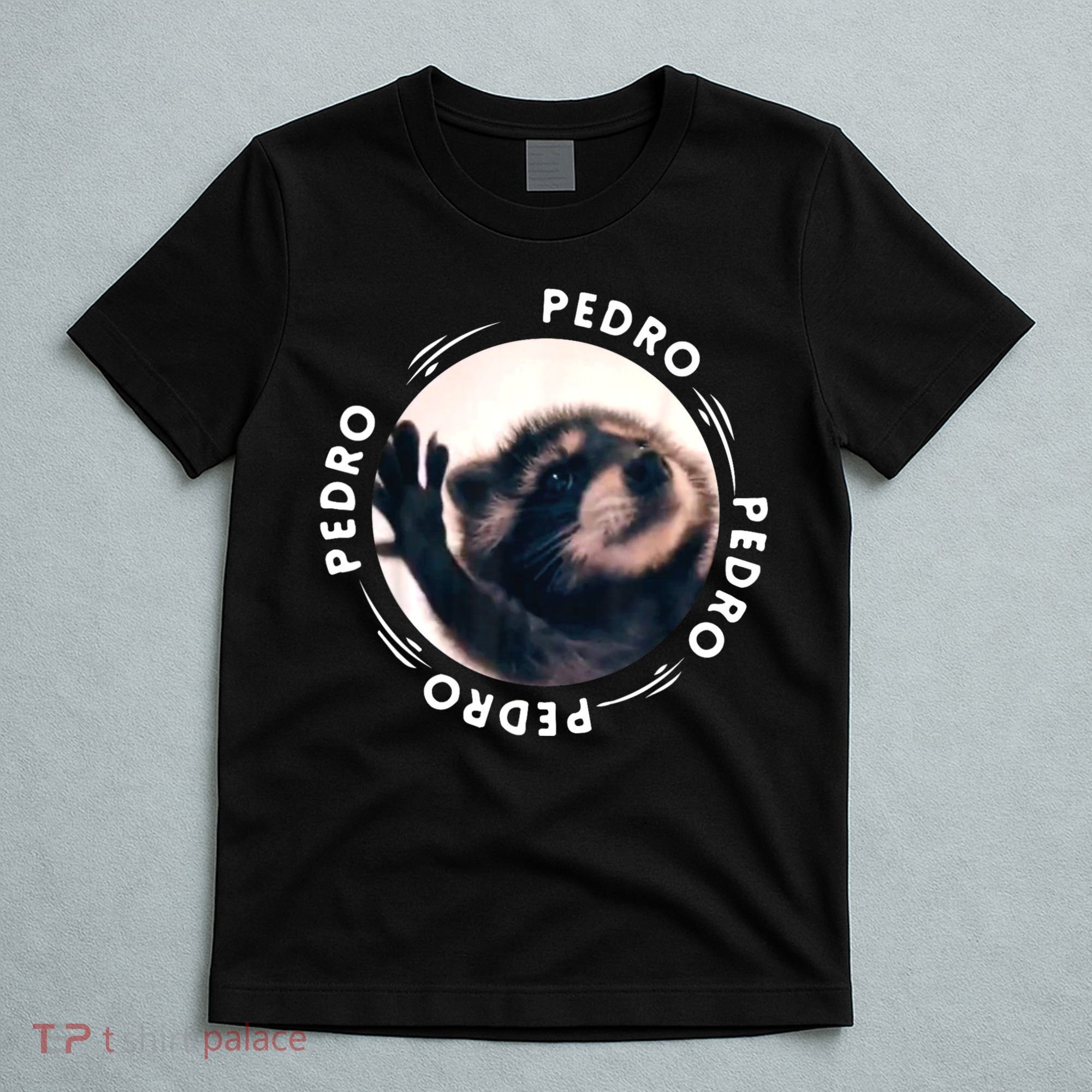 Pedro Dancing Raccoon Pedro Pedro Dancing Raccoon Meme T-Shirt